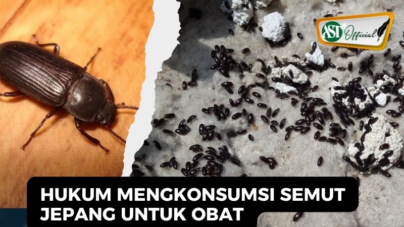 HUKUM BEROBAT DENGAN SEMUT JEPANG