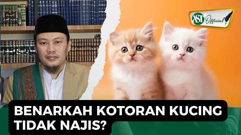BENARKAH KOTORAN KUCING TIDAK NAJIS?