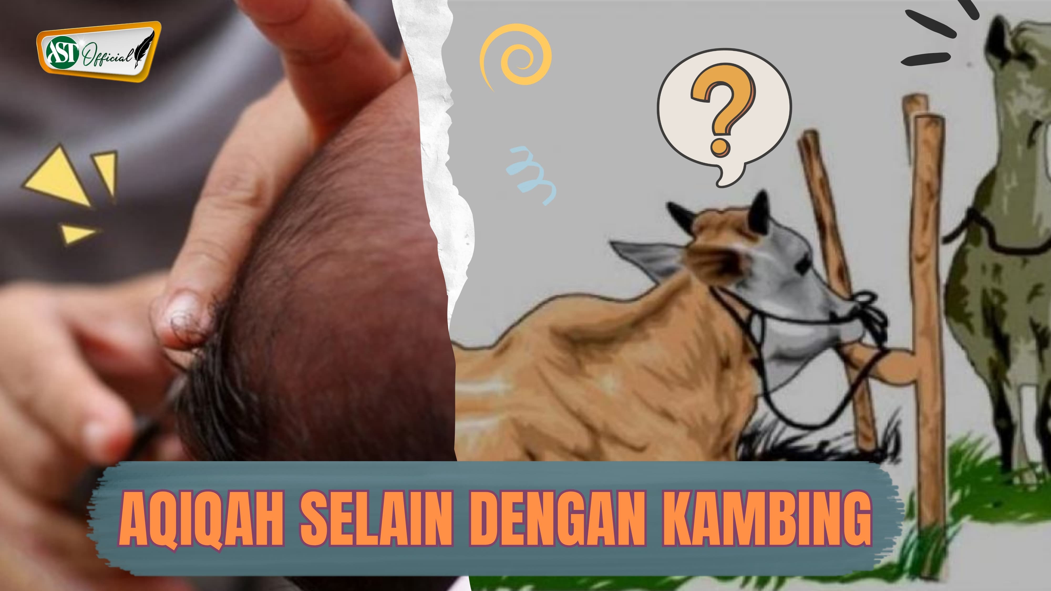 AQIQAH SELAIN DENGAN KAMBING