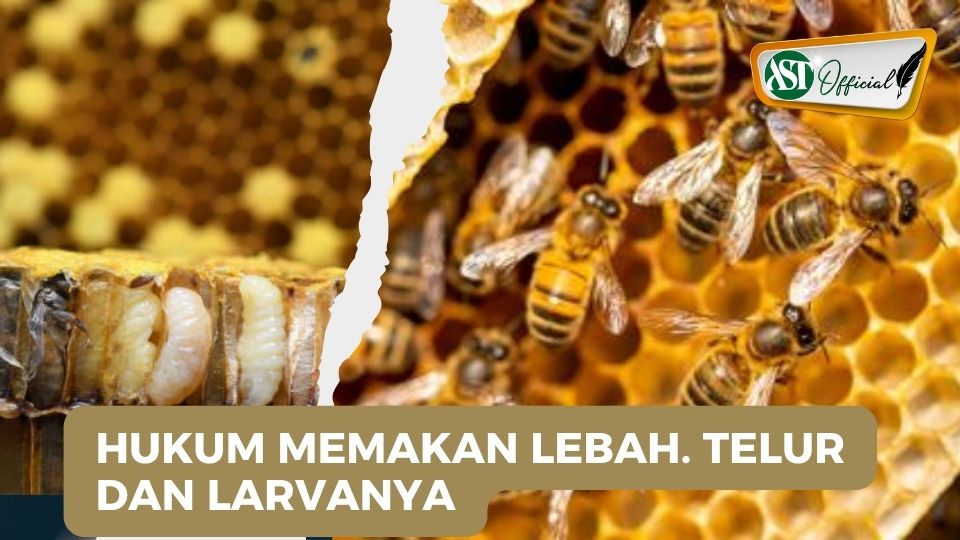 HUKUM MEMAKAN LEBAH, TELUR ATAU LARVANYA
